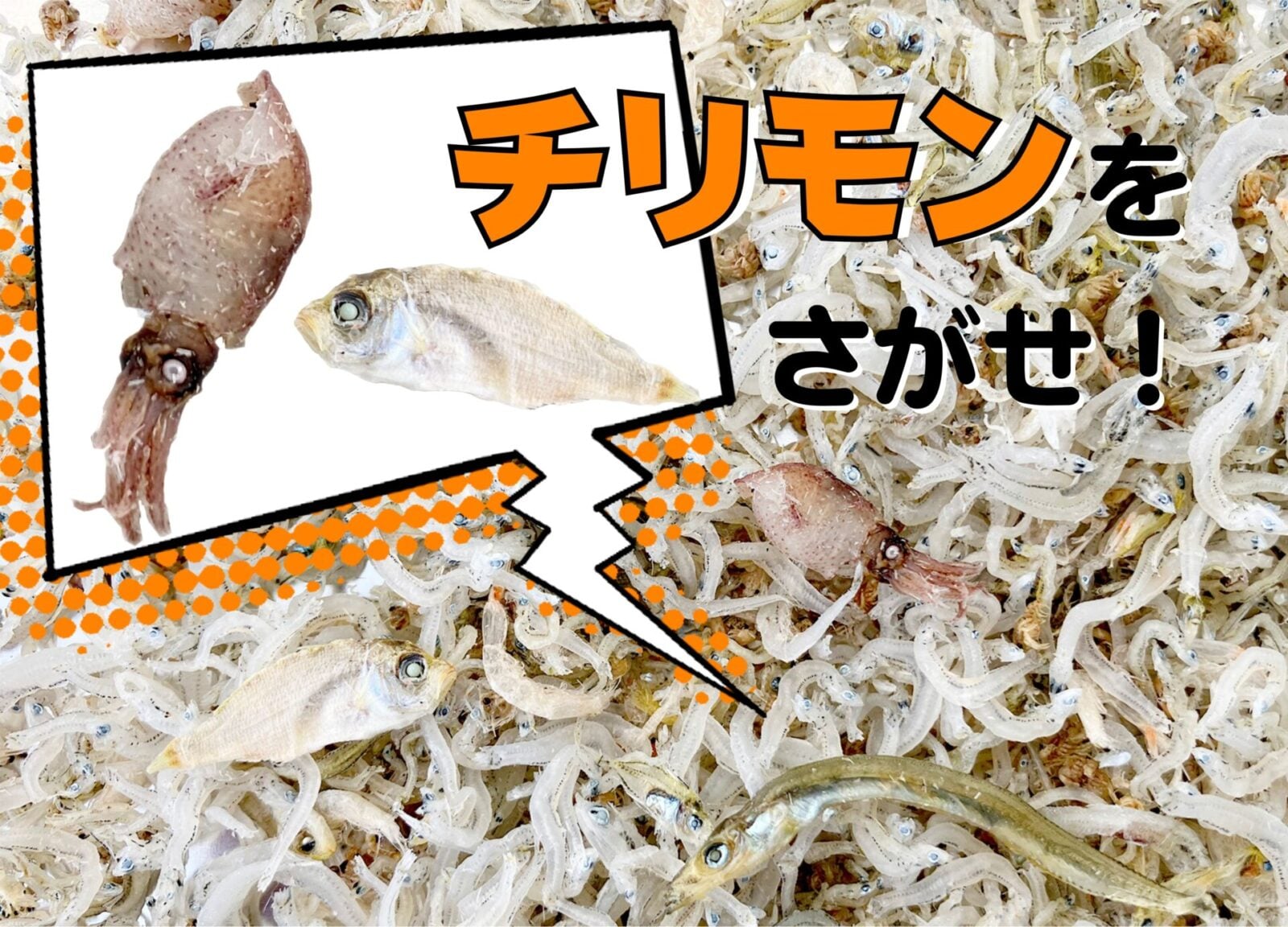 イメージ画像